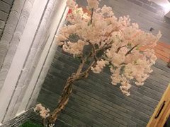 -迈格笙SPA·影院式足道·采耳(金桥店)