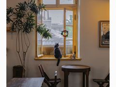 -春风十里咖啡馆