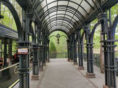 -合肥滨湖国家森林公园