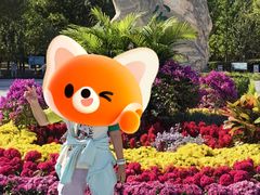 -绿堤公园