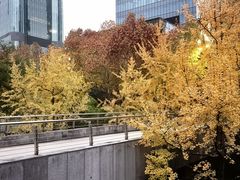 -重庆市江北嘴中央商务区中央公园