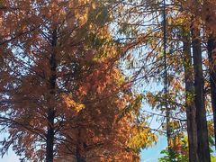 -东天目山风景区