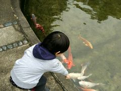 android_upload_pic-广州花园酒店