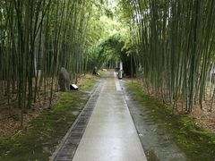 -上海市龙华烈士陵园