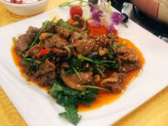 香菜炒牛肉-金鸡厨房(夏湾店)