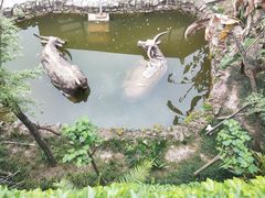 -燊海井