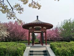 -洛阳市隋唐城遗址植物园