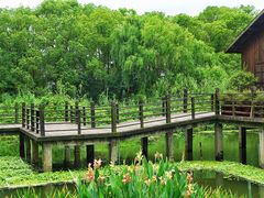 -溱湖国家湿地公园