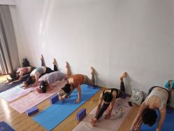 -亚太瑜伽普拉提学院