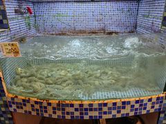 -胖大嫂渔家排档·全海景餐厅(渔村店)