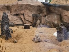 -武汉动物园