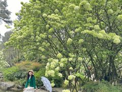 -铁山坪森林公园