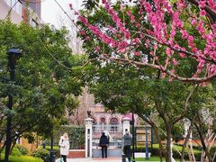 -思南公馆商业街