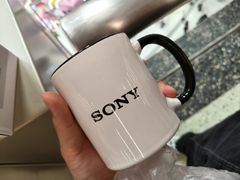 -Sony Store索尼(广州正佳店)