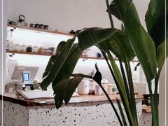 -Line 咖啡(石厦花园店)