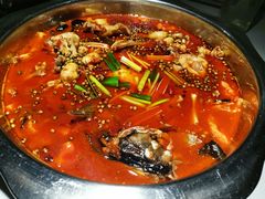 牛蛙-宽口美蛙鱼头(大唐西市店)