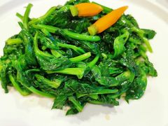 清炒豌豆尖-106餐厅(山水文园店)