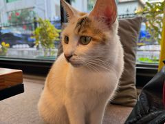 -转山咖啡(松柏社区店)