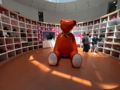 -济州岛泰迪熊博物馆