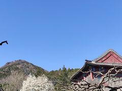 -香山公园
