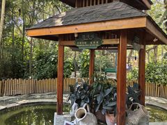 -碧水湾温泉