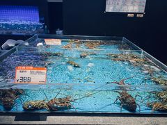 -徐记海鲜(大雁塔|金都店)