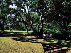 -荔枝公园(福田区)