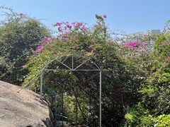 -鸿山公园