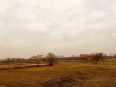 -盘龙城国家考古遗址公园