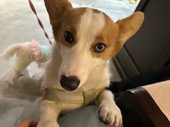 -云座·时光·观景咖啡厅(五爷庙店)