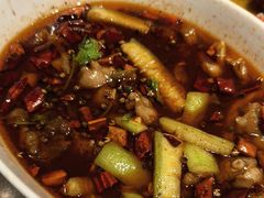 -杨氏青龙虾·羊蝎子(金盛路总店)
