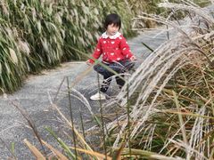 -羊山湖公园