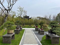 -三垟湿地