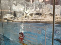 -帝企鹅自助餐厅•儿童岛•真企鹅(长隆企鹅酒店)