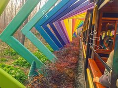 -合肥滨湖国家森林公园