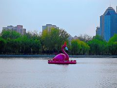 -莲花池公园