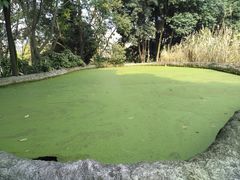 -成都市活水公园