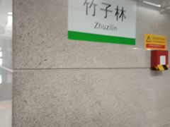 -竹子林(地铁站)