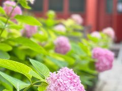 -北京石刻艺术博物馆