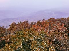 -帽儿山国家森林公园