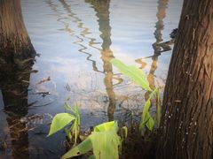 -重庆彩云湖湿地公园