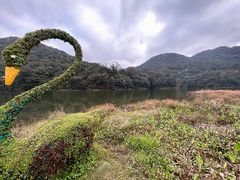 -广州市石门国家森林公园