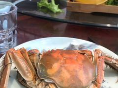 -老胶东家常菜馆(市场一路店)