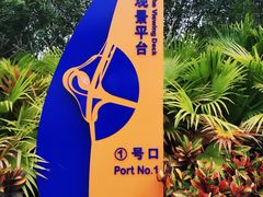 -演武大桥观景平台