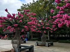 -杭州城北体育公园