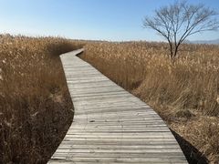 -野鸭湖国家湿地公园