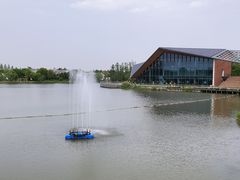 -上海长兴岛郊野公园