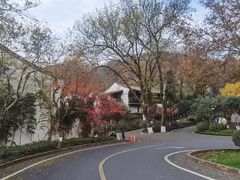 -杭州雅谷泉山庄酒店-餐厅