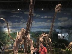 -自贡恐龙博物馆