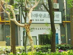 -小邓专业采耳馆(延安西路店)